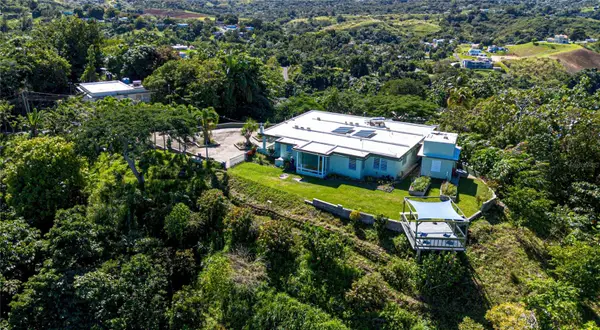 PR 811, k.m. 4.0 interior Palos Blancos Sect. Los Ramos, COROZAL, PR 00783