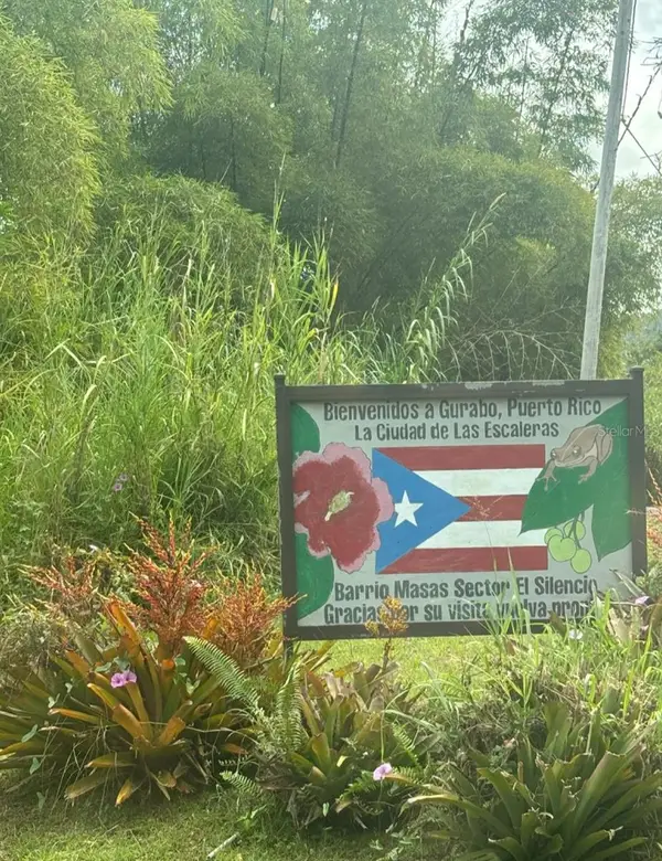 PR 945 Barrio Masas Ward, GURABO, PR 00778