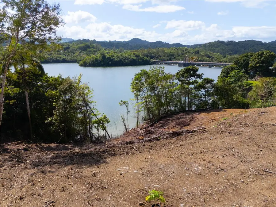 CARR 827 Km 5.0, Interior, Bo. Ortiz, Lot 2, Toa Alta, PR 00953 - Image #3