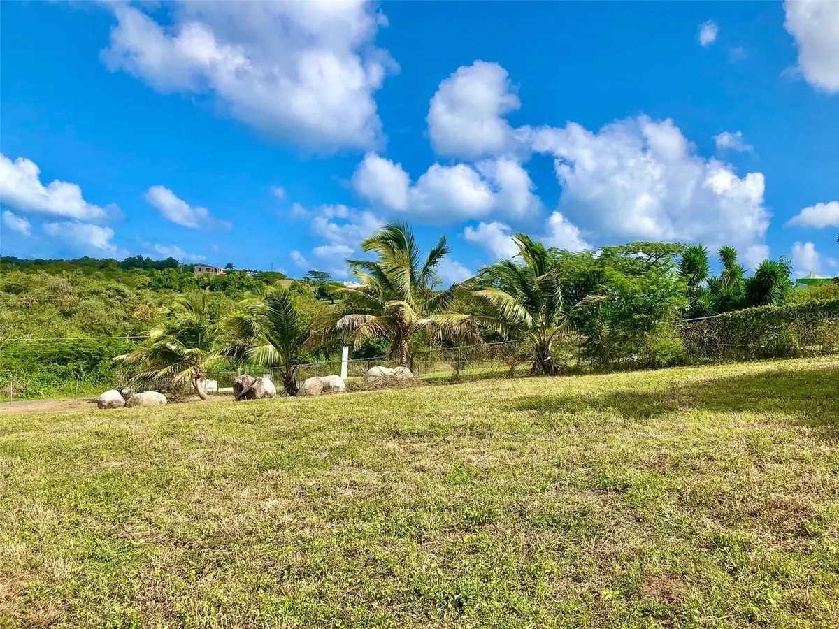 63 Route 201, Vieques, PR 00765 - Image #1