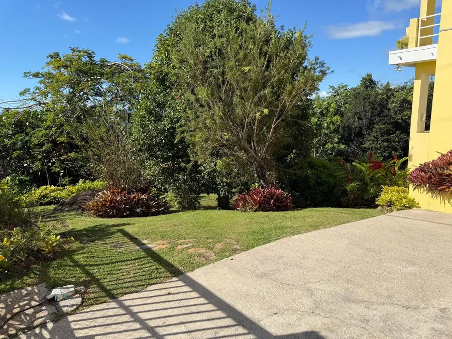 Bo Higuerillo Sector La Suiza, Carr 950 Km1.2 Int #21, Naguabo, PR 00718 - Image #3