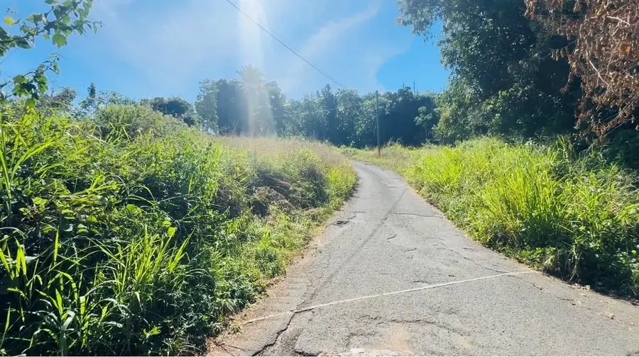 Bo Naranjo Carretera #2, Km 138.2 Int, Aguada, PR 00602 - Image #2