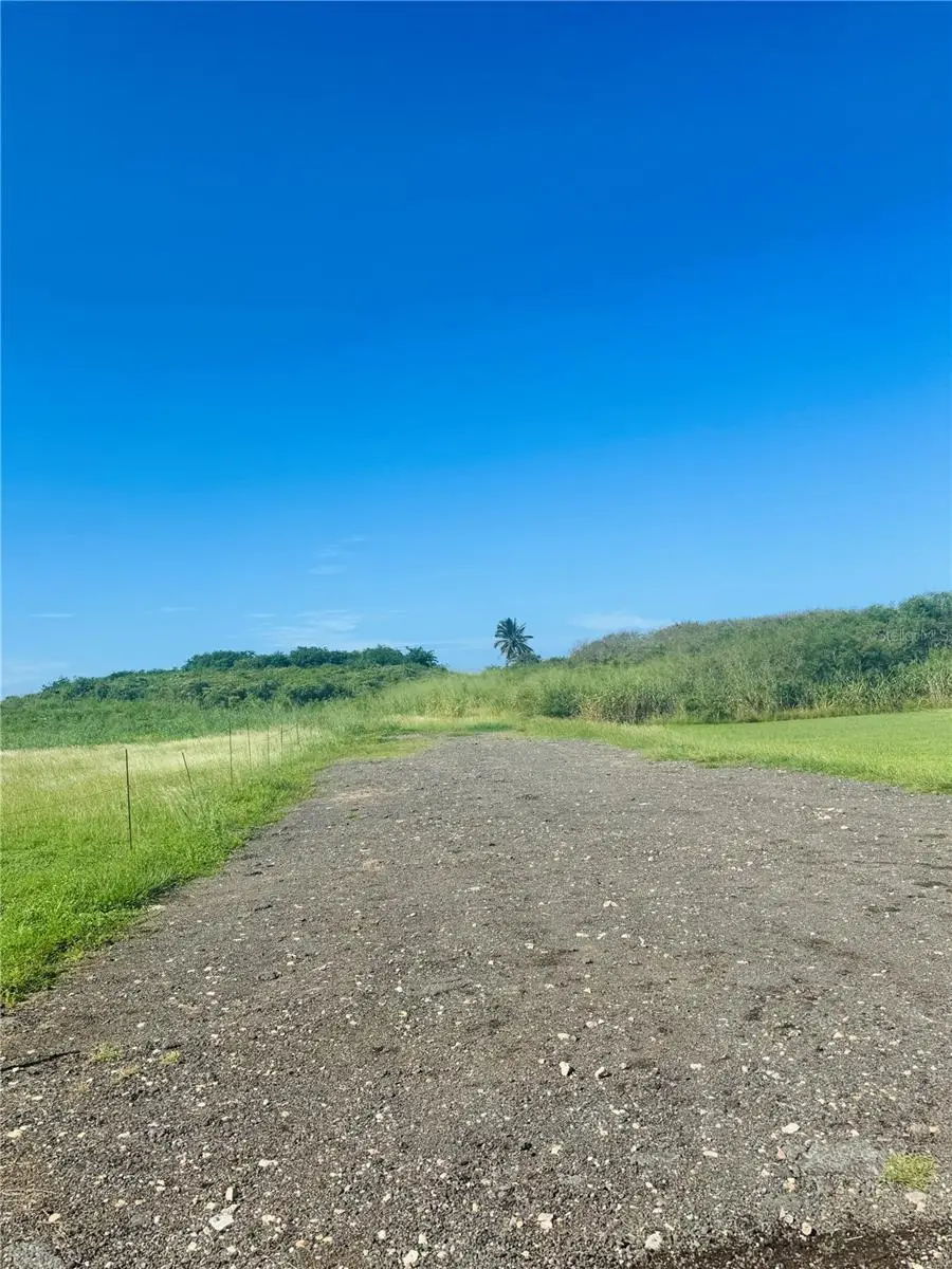 Bo Aguacate Km 31.6 (int), Pr 110, Camino A, Aguadilla, PR 00603 - Image #1