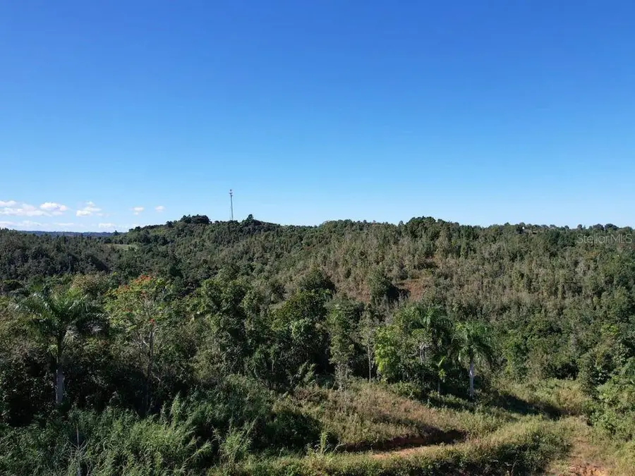 CARR 456 Bo. Guajataca Carr 456 Km 1.3 Quebradillas, Quebradillas, PR 00678 - Image #3