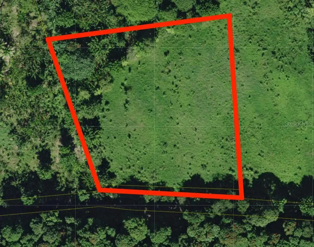 Bo. Cidral Pr-450, San Sebastian, PR 00685 - Image #1