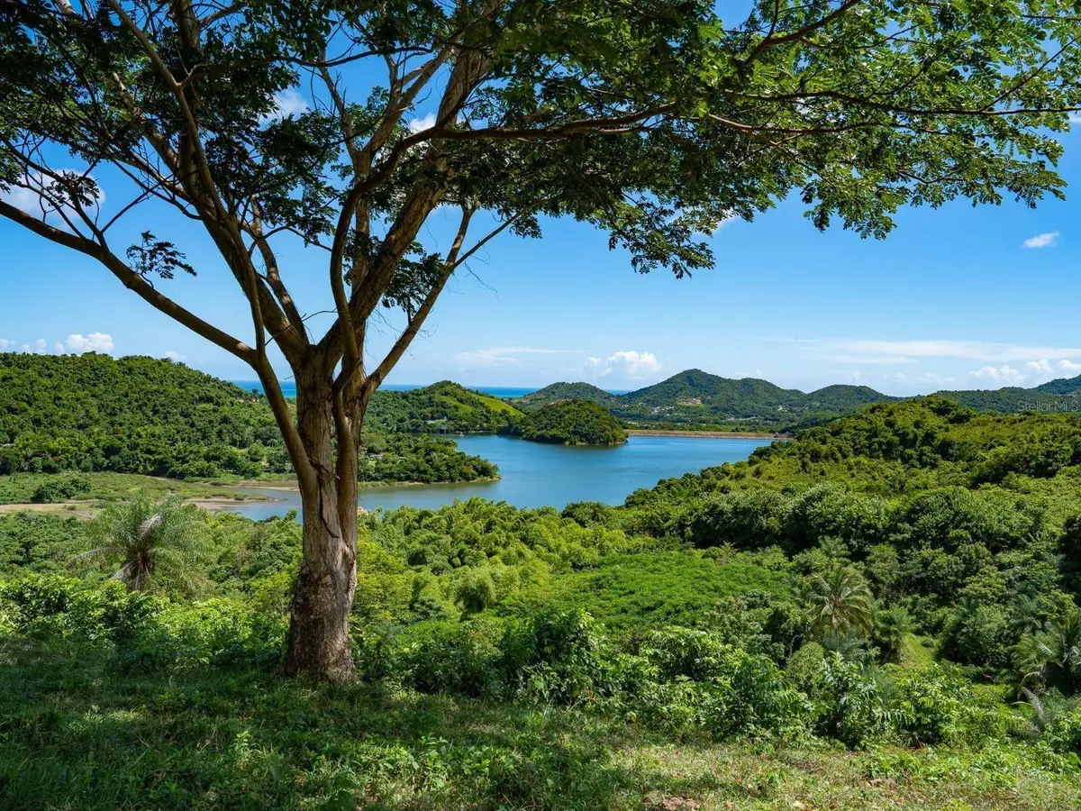 7759 Ramal #KM 03, Patillas, PR 00723 - Image #1