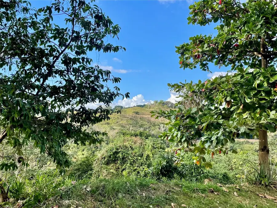 Carretera 119, San German, PR 00683 - Image #3