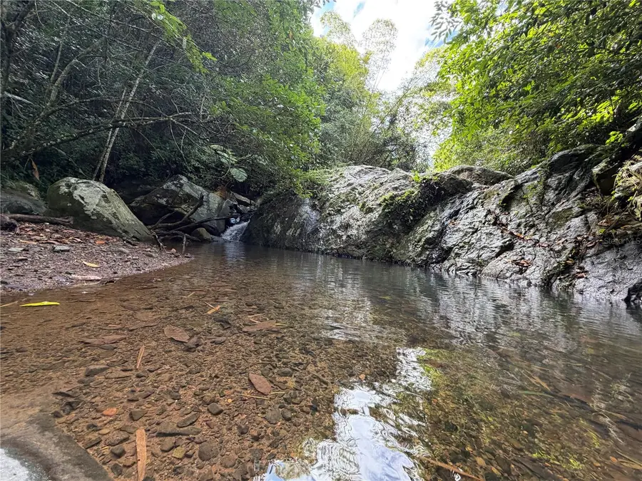 Cam. La Vega, Orocovis, PR 00720 - #3