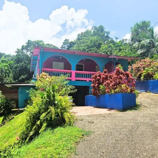 Lote 4 R 146, Arecibo, PR 00612 - Image #1