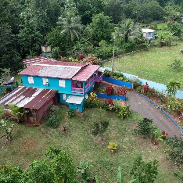 Lote 4 R 146, Arecibo, PR 00612 - Image #2