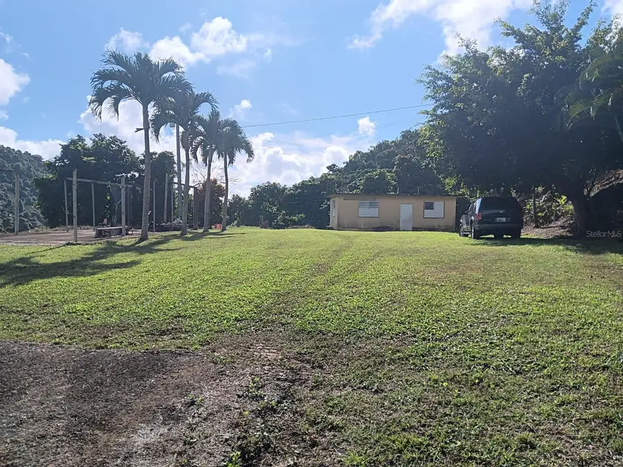 Carr 184 Bo. Mulas, Patillas, PR 00723 - #2