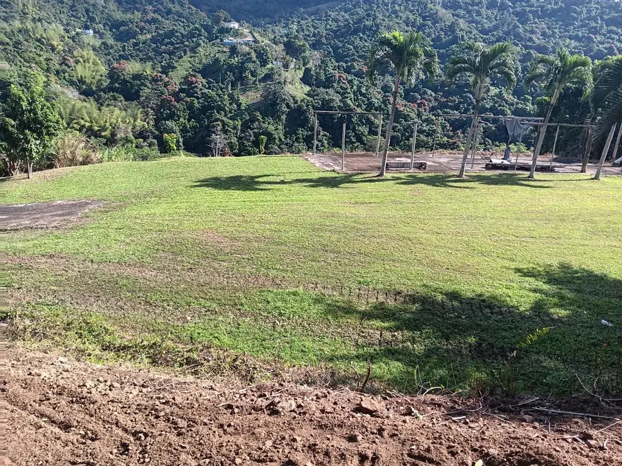 Carr 184 Bo. Mulas, Patillas, PR 00723 - #3