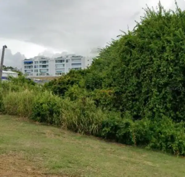 LOT 1 Calle Robles, FAJARDO, PR 00738