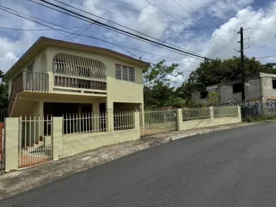 Calle 1 B-10, San Lorenzo, PR 00754 - #1