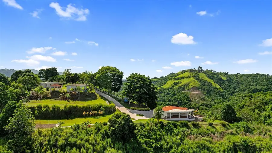 4428 Km 3.1 Int, Lares, PR 00669 - #3