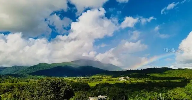 Carr#927 Sector Brazo Sec Kh7.6, Naguabo, PR 00718 - #2