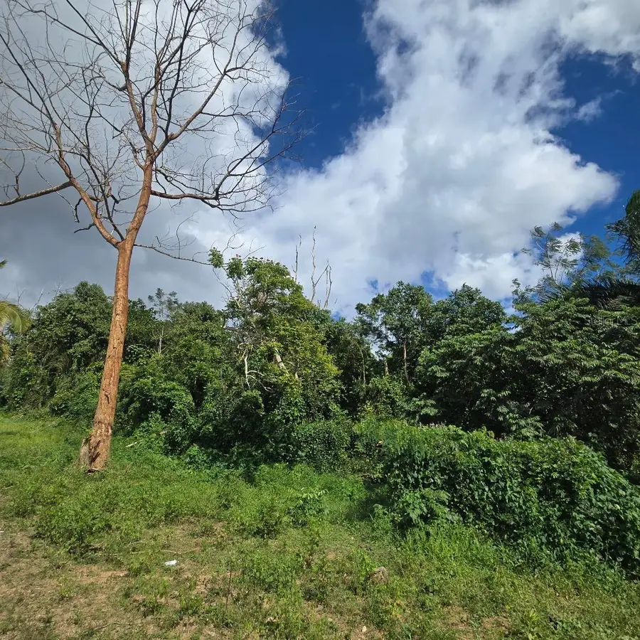 Yagrumo St #13, San Juan, PR 00926 - #3