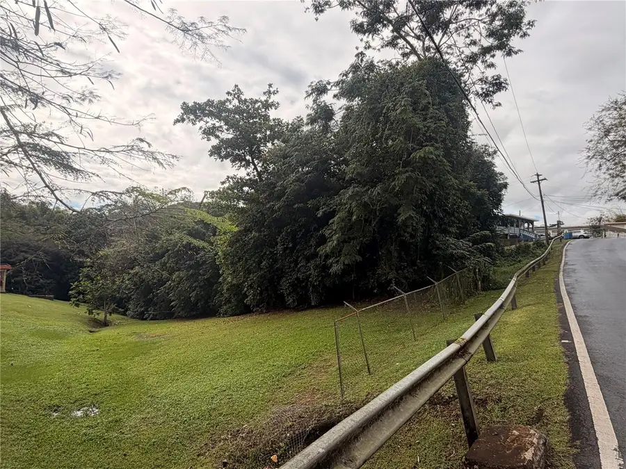 4 Barrio Rincon, Cidra, PR 00739 - #3