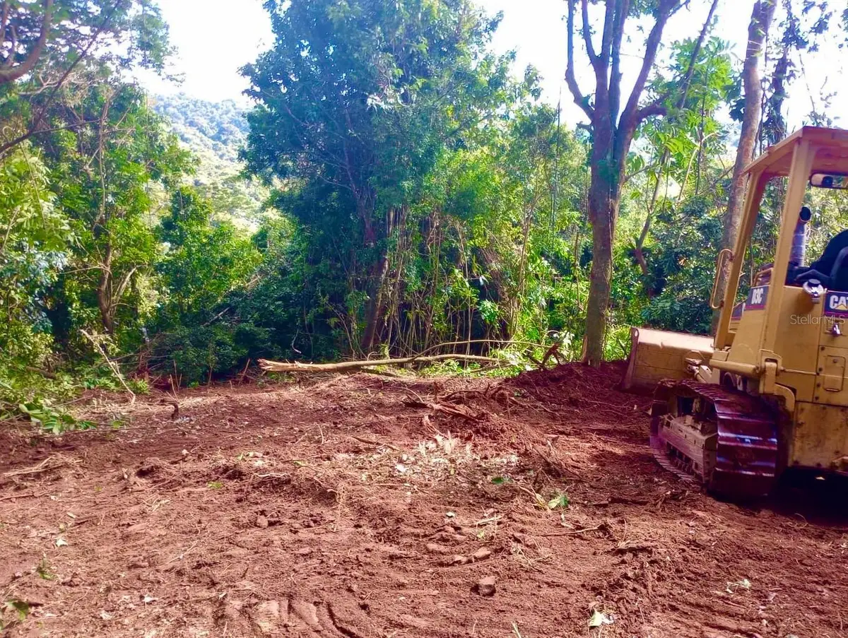 Solar 27 Barrio Cordillera, Ciales, PR 00638 - #1