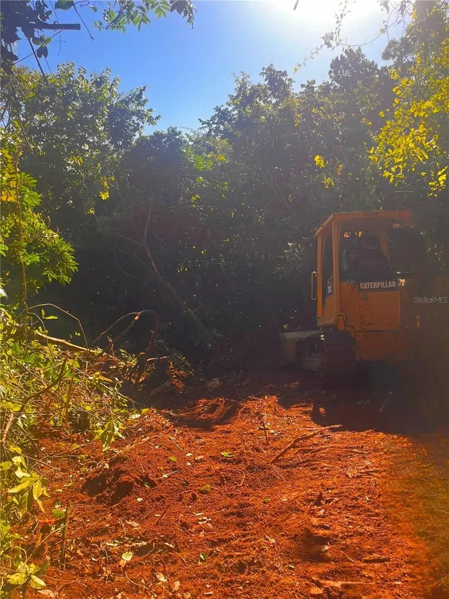 Solar 27 Barrio Cordillera, Ciales, PR 00638 - #2