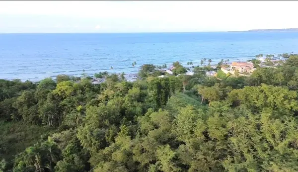 Palmar Novoa, AGUADA, PR 00602