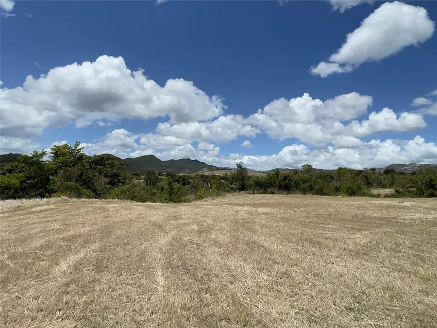 14 Los Llanos Ward, Coamo, PR 00769 - #3