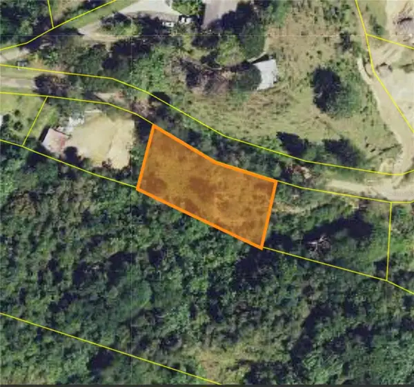 Lote #7 Bo Montellano, CIDRA, PR 00739