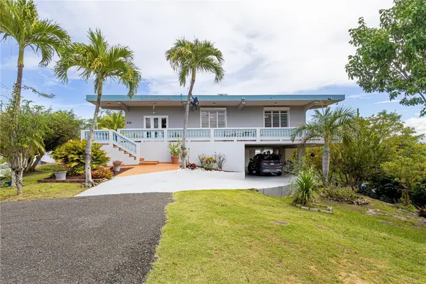 3 ST. ALLEN Bo Coto, ISABELA, PR 00662