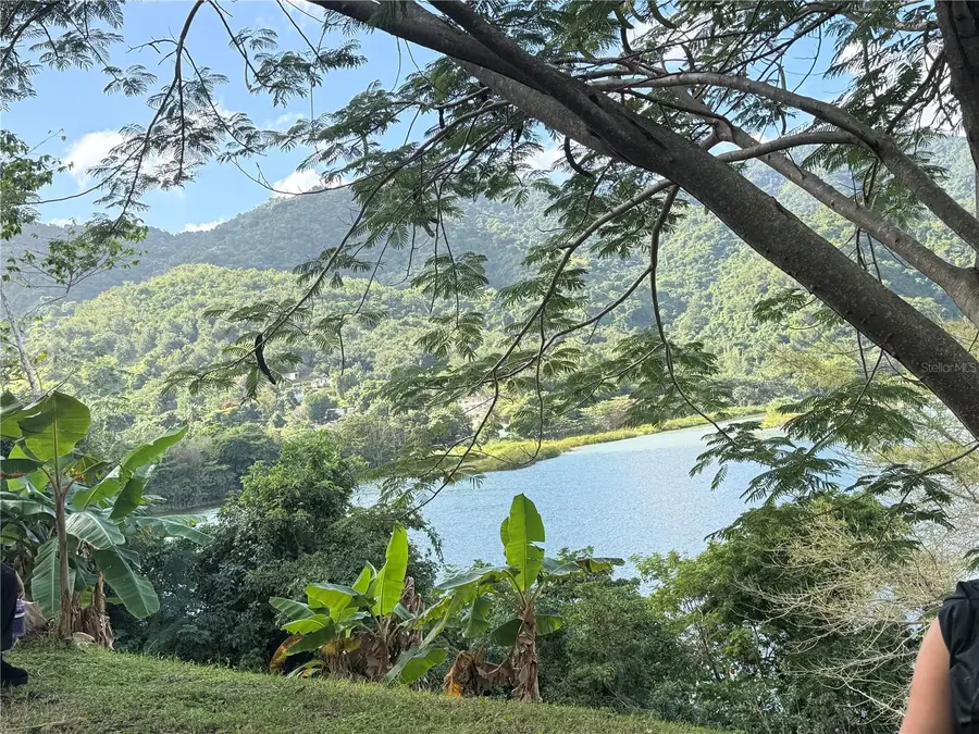 Lakefront Property, Patillas, PR 00723 - #3