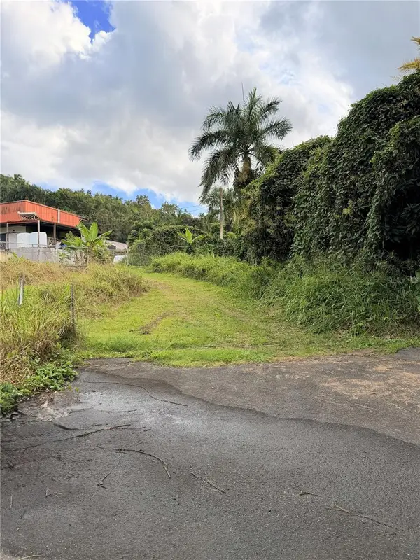 Cta. Abajo Bo. Barrazas, CAROLINA, PR 00987