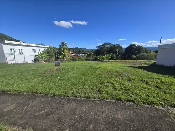 E-4 Urb. El Retiro Calle Recreo, CAGUAS, PR 00725