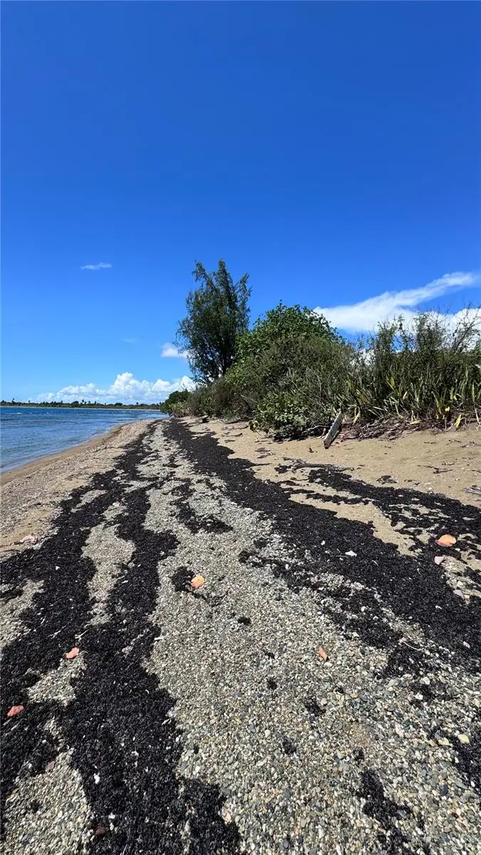 Pr-7710 #50A-C, Guayama, PR 00784 - #1