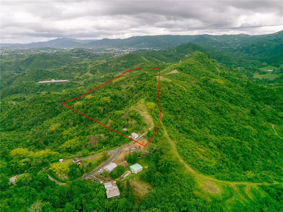 INTERIOR BO MATON ABAJO Matn Abajo, Cayey, PR 00736 - #1