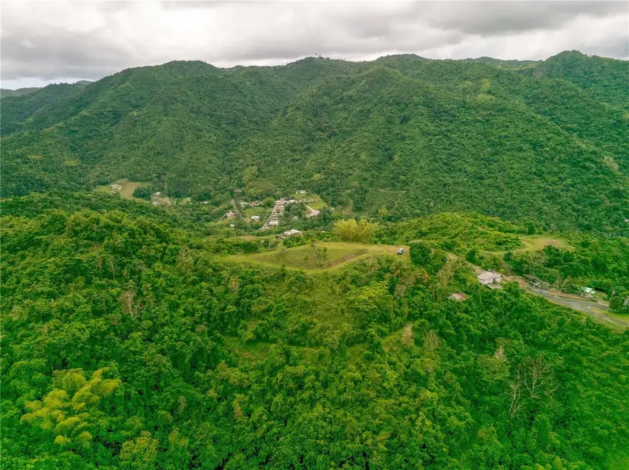 INTERIOR BO MATON ABAJO Matn Abajo, Cayey, PR 00736 - #2