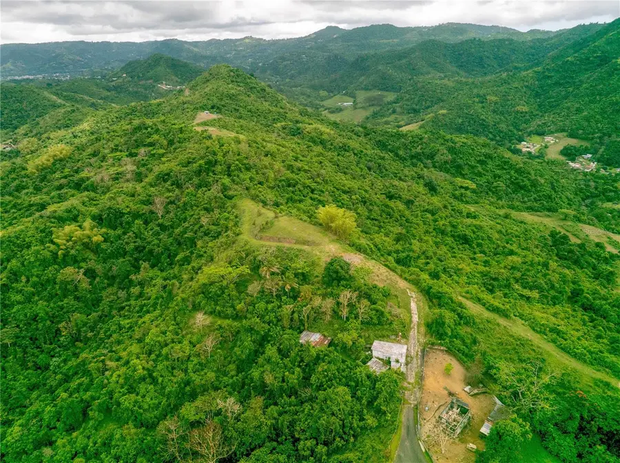 INTERIOR BO MATON ABAJO Matn Abajo, Cayey, PR 00736 - #3
