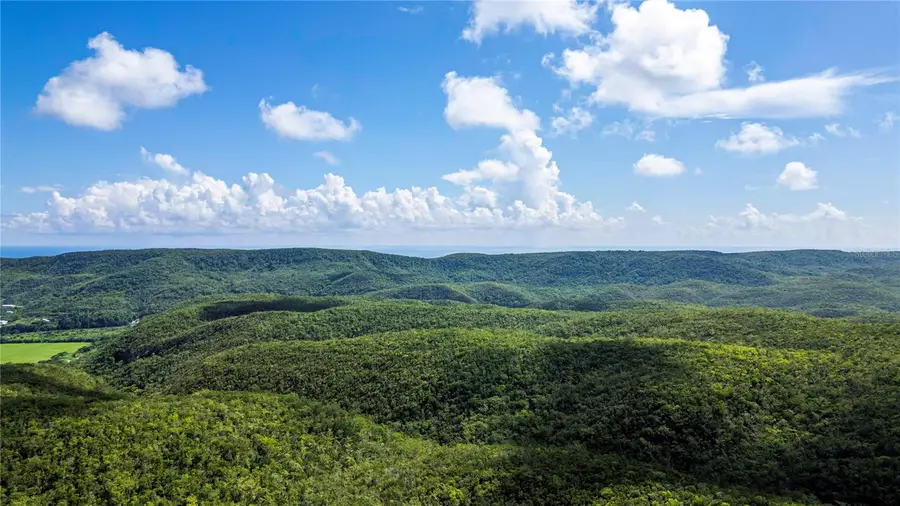 Calle 335 Barinas, Yauco, PR 00698 - #2