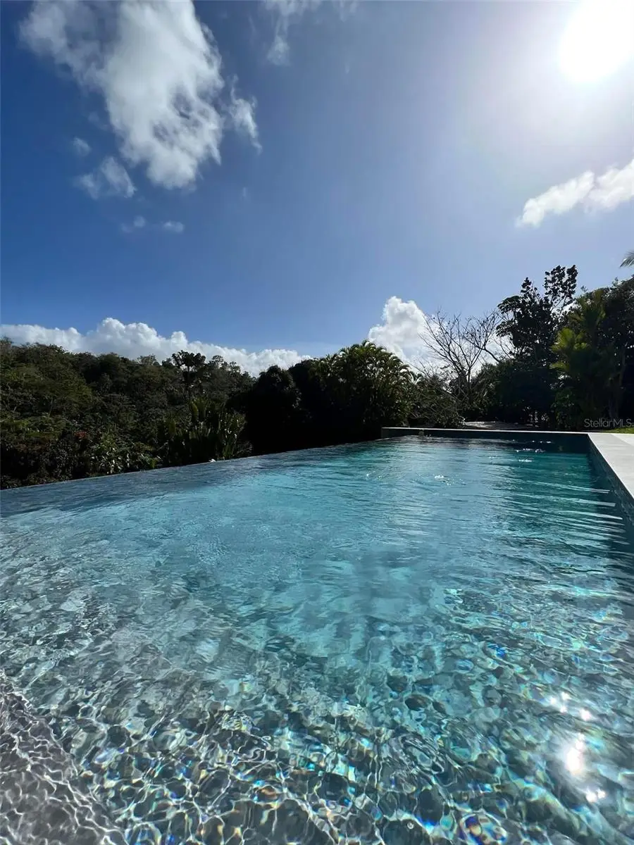 Carr 174 Lote 27a Bo Jagueyes Km Hm 16.4, Aguas Buenas, PR 00703 - #3