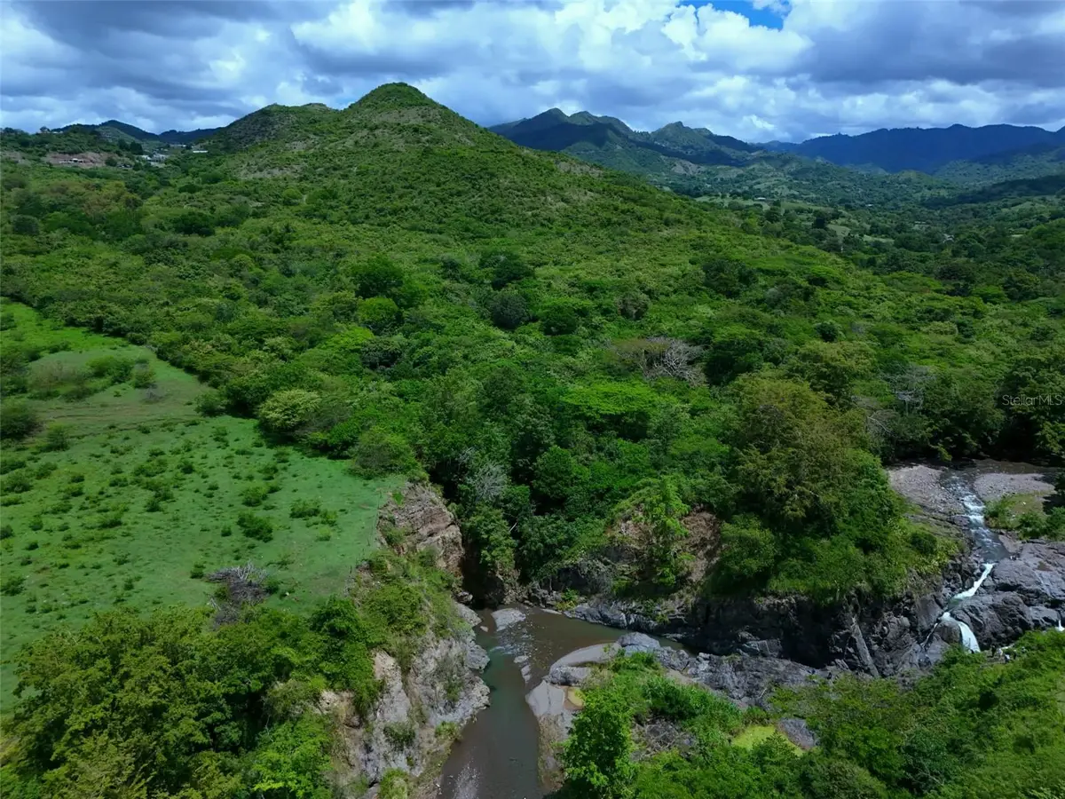 Carr 556 KM. HM 2.2 Pasto, Coamo, PR 00769 - #1