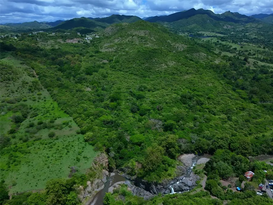 Carr 556 KM. HM 2.2 Pasto, Coamo, PR 00769 - #3