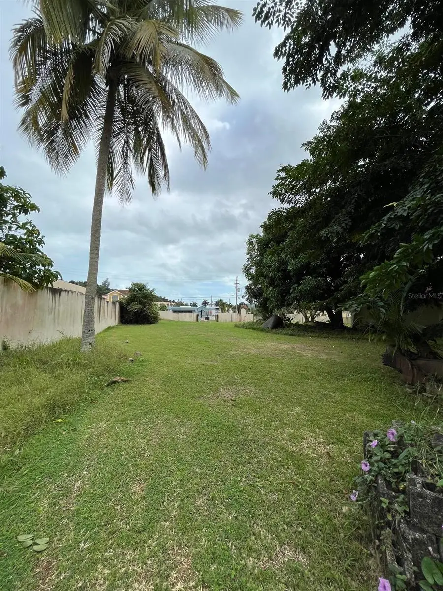 46 Naranjo Valley Dev., #LOT 1, Fajardo, PR 00738 - Image #3