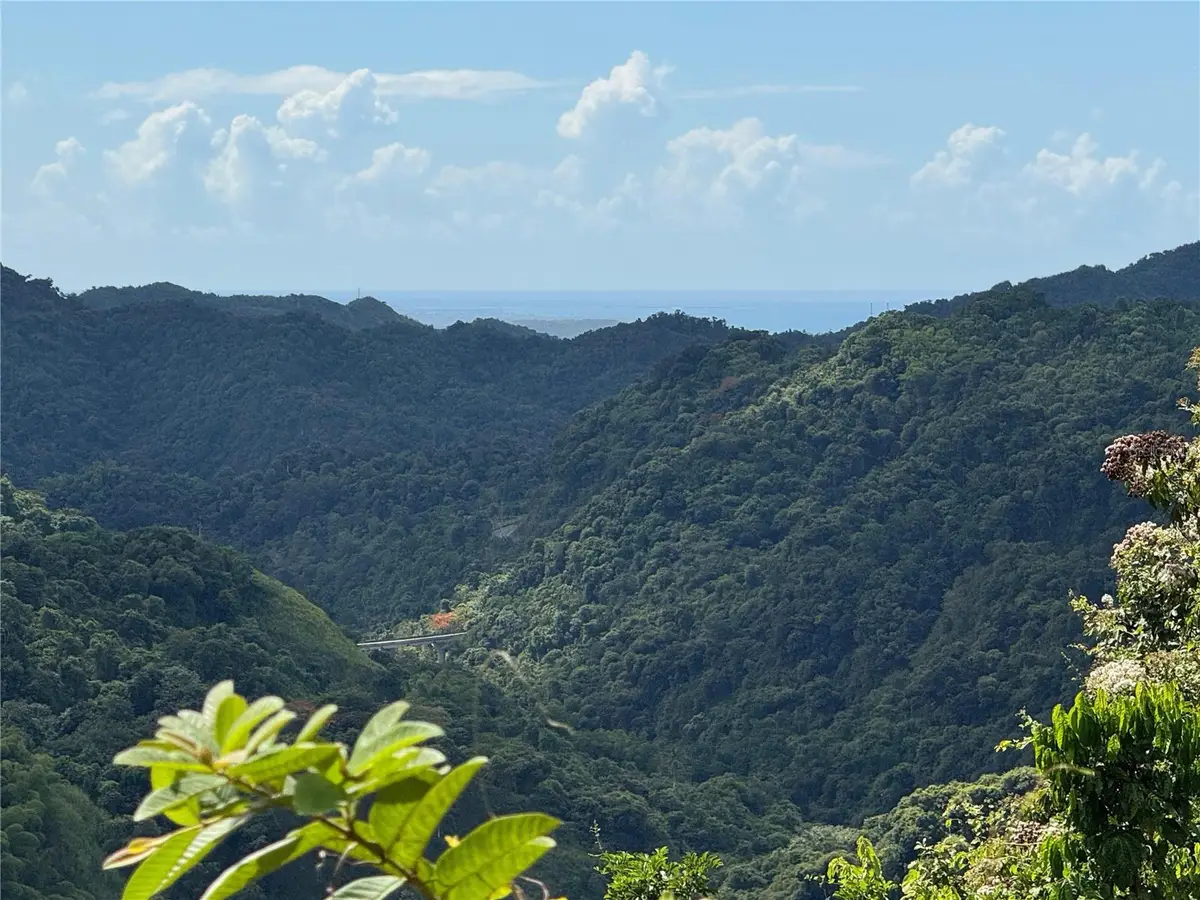 Carr 511 Anton #Lot 5, Ponce, PR 00731 - #1