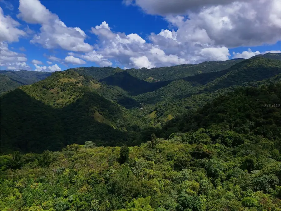 Carr 511 Anton #Lot 5, Ponce, PR 00731 - #3