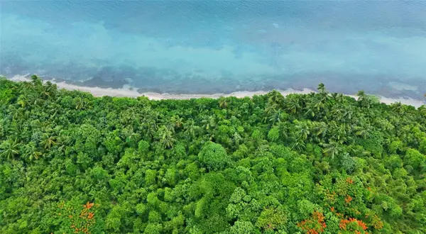 Punta Arenas Puerto Real, VIEQUES, PR 00765