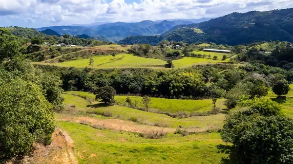 Road 152 Camino Las Orquideas Road, BARRANQUITAS, PR 00794