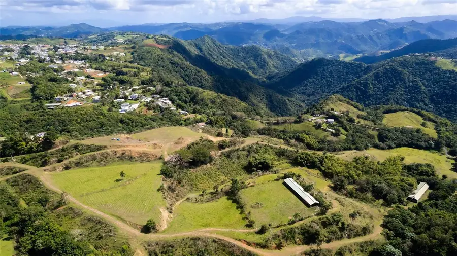 Road 152 Camino Las Orquideas Road, Barranquitas, PR 00794 - #3