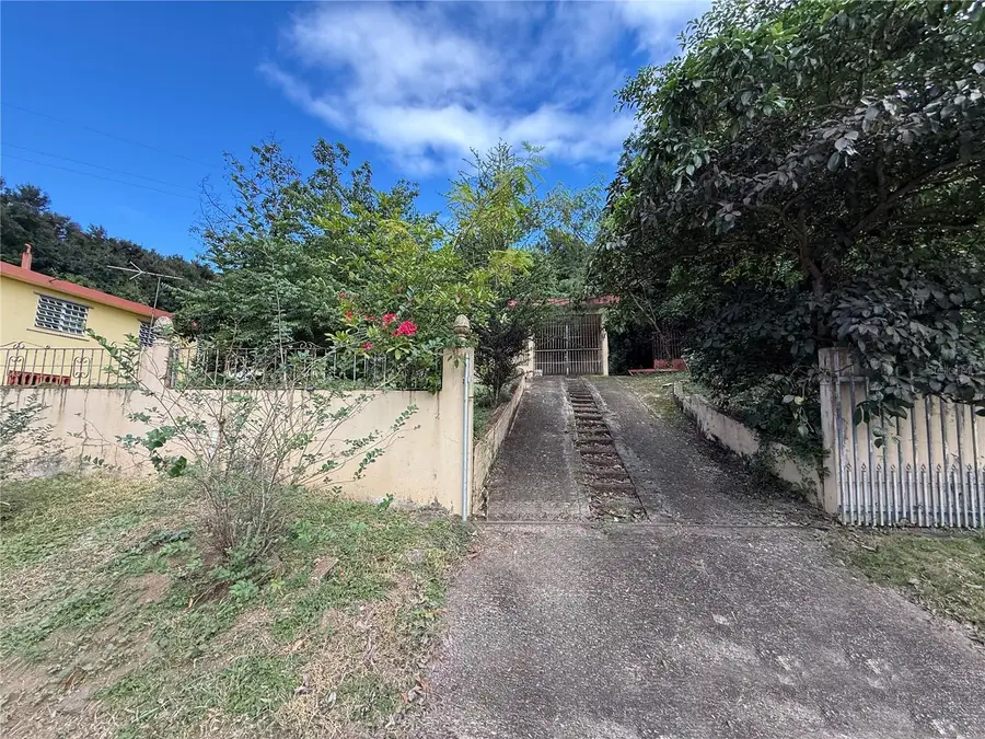 Lot 206-A 13TH ST Vazquez Community, Salinas, PR 00751 - #2