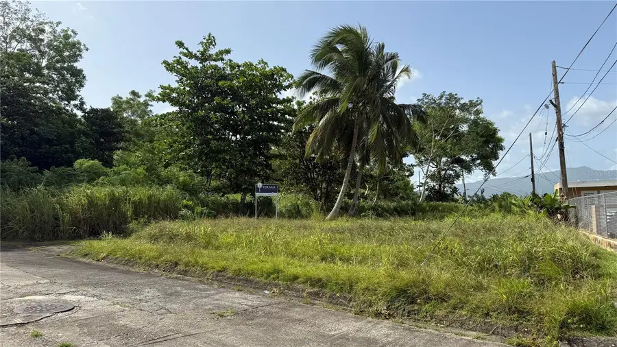 1 Calle 1, Las Piedras, PR 00771 - #2