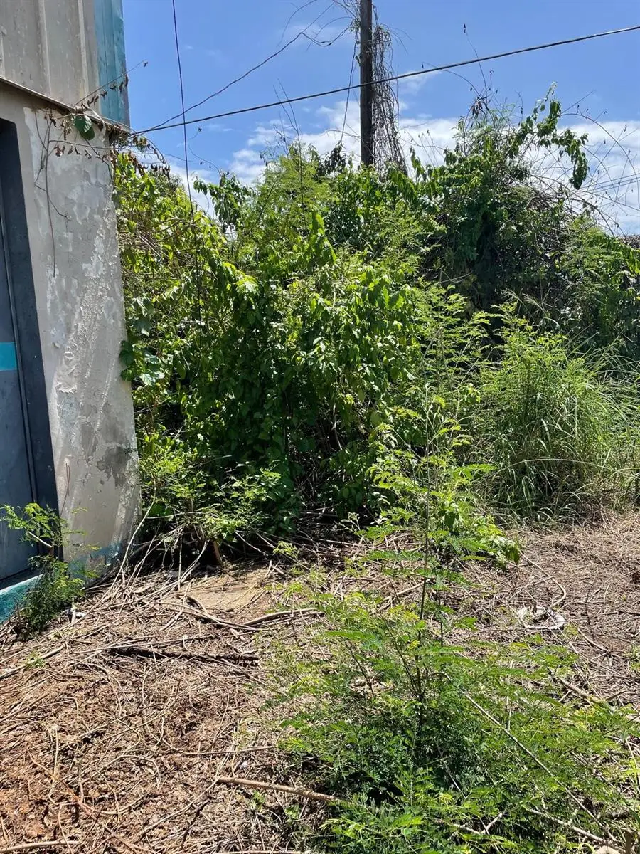 Calle Nazaret C-b3 Ext. Santa Marla, Ponce, PR 00717 - #3