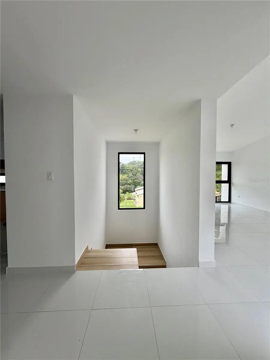 #8 Calle Industrial, Caguas, PR 00725 - #3