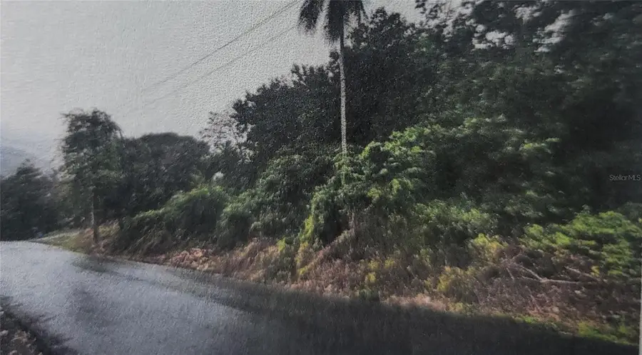 Bo Quebrada Cruz, Toa Alta, PR 00953 - #2